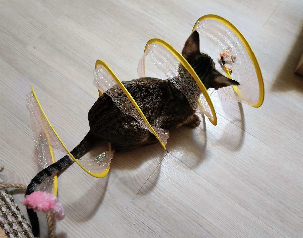 Благодарю за фото Риту БАЛОБАНОВУ)