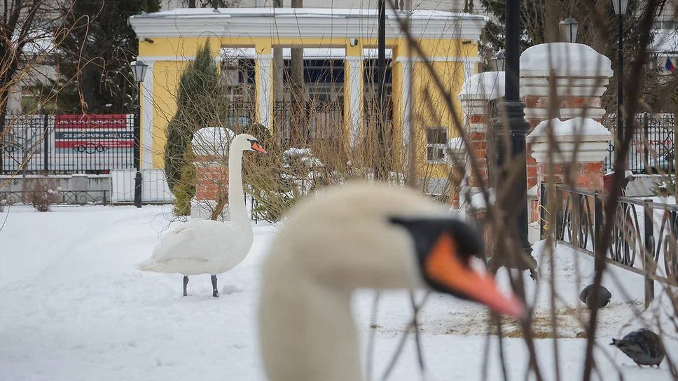 Фото: Дмитрий Рудаков, Telegram-канал