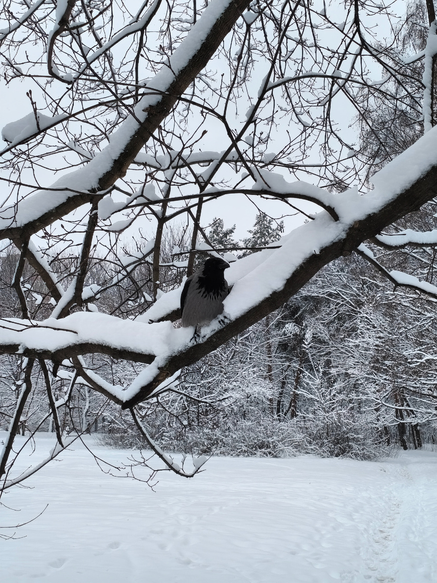 Таможня. Фото автора