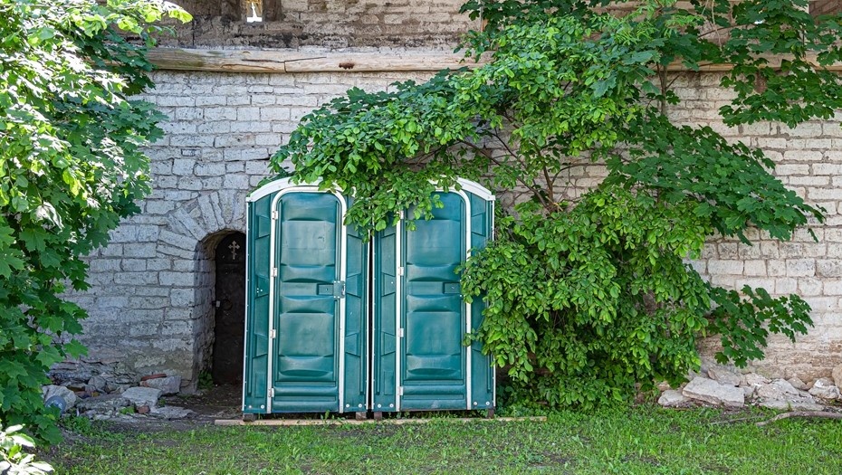    Автор фото: vostock-photo