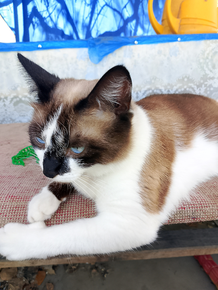 Фото автора