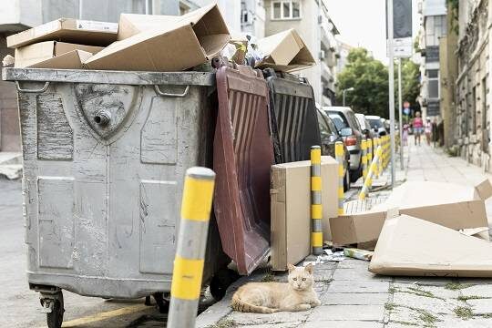    В России могут изменить принцип расчета платы за вывоз мусора