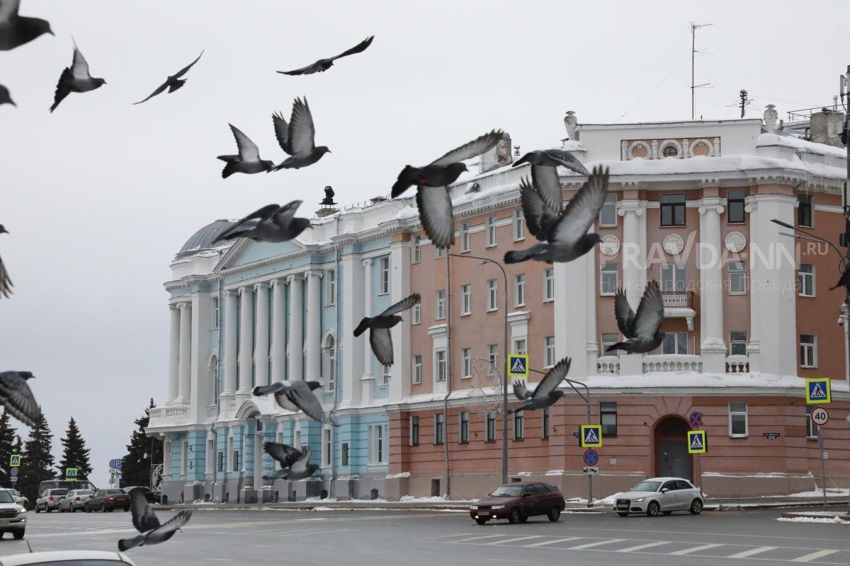    В этот день строго запрещено обижать птиц