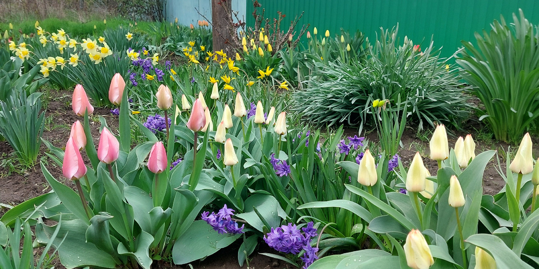 Будни пенсионеров. Расходы на женскую красоту. Ждем гостей на выходные