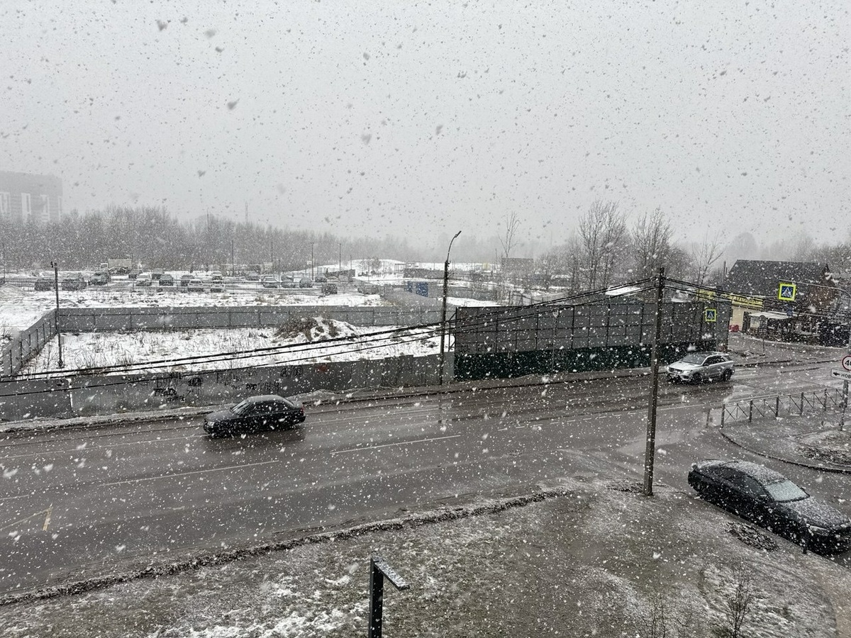 Фото: Neva.Today