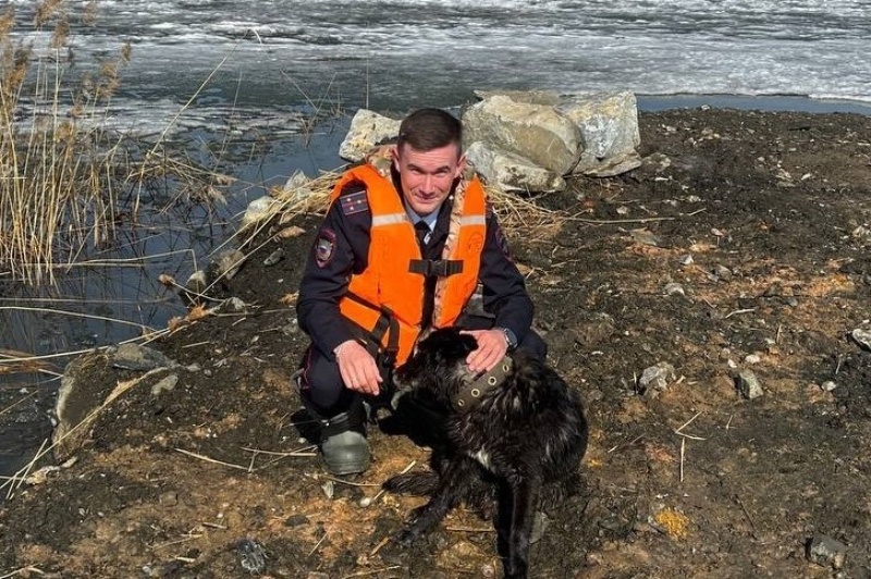 Фото: пресс-служба ГУ МВД по Челябинской области