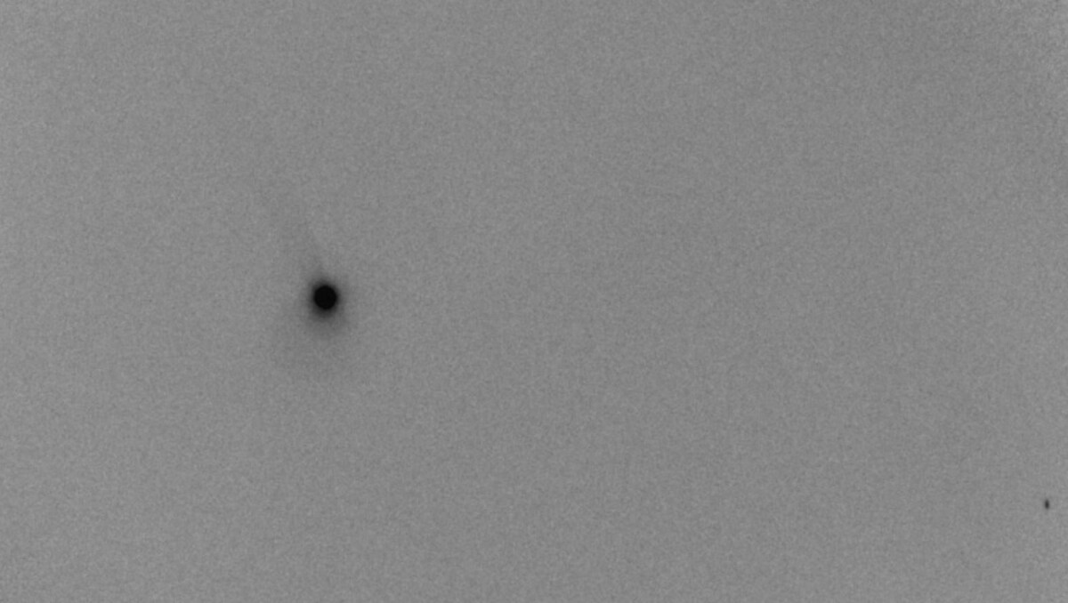 Фото: Егор Коняев, обсерватория «Вега» НГУ  📷
