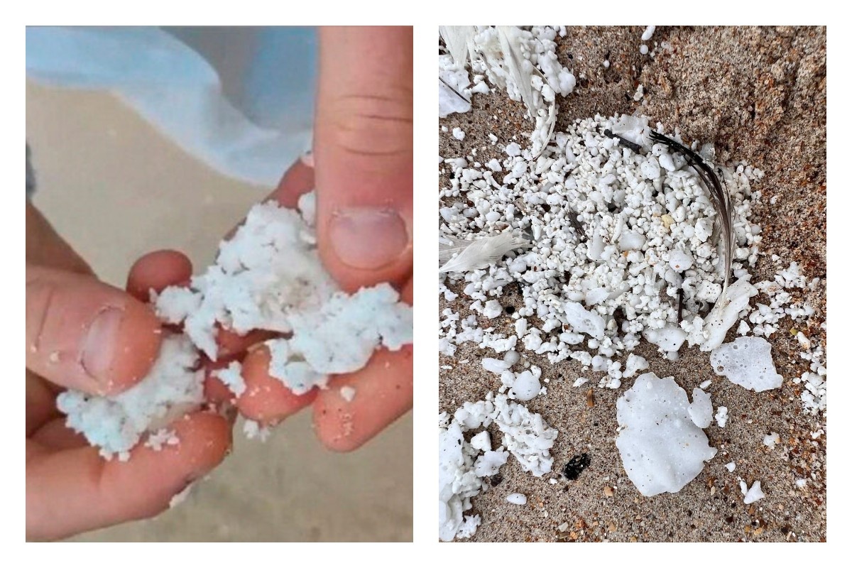 Фото: Евгений Витишко