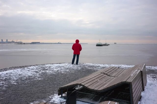    Где находится Финский залив?