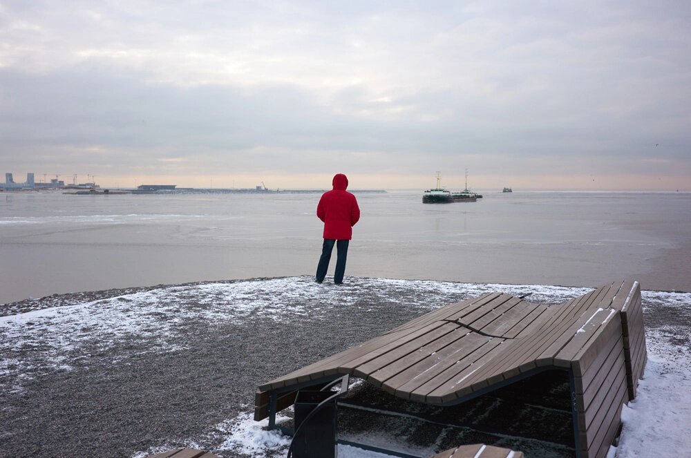    Финский залив. Фото:  РИА Новости/ Алексей Даничев