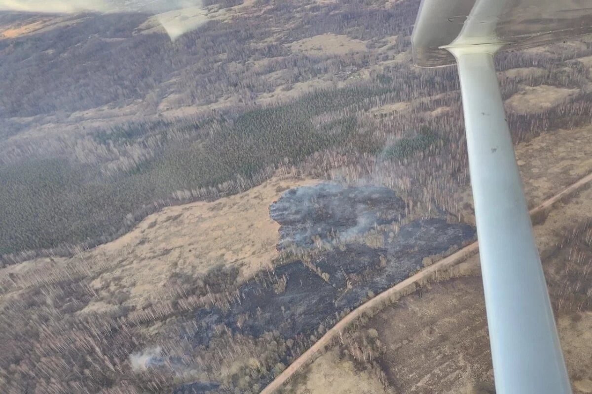    311 палов травы зафиксировали в Псковской области с начала года