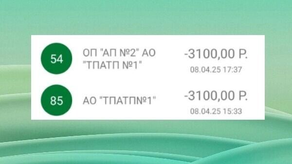     Источник: Тюменская транспортная система