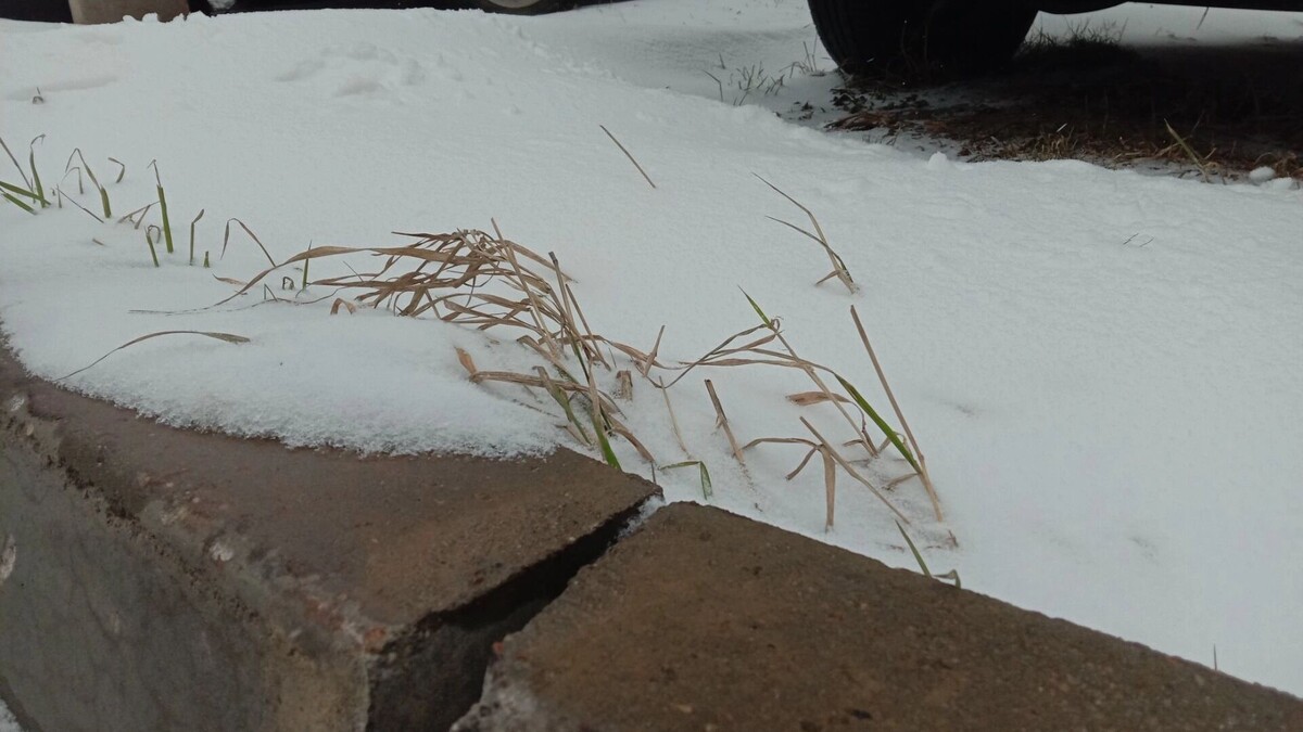     Источник: rostovgazeta.ru