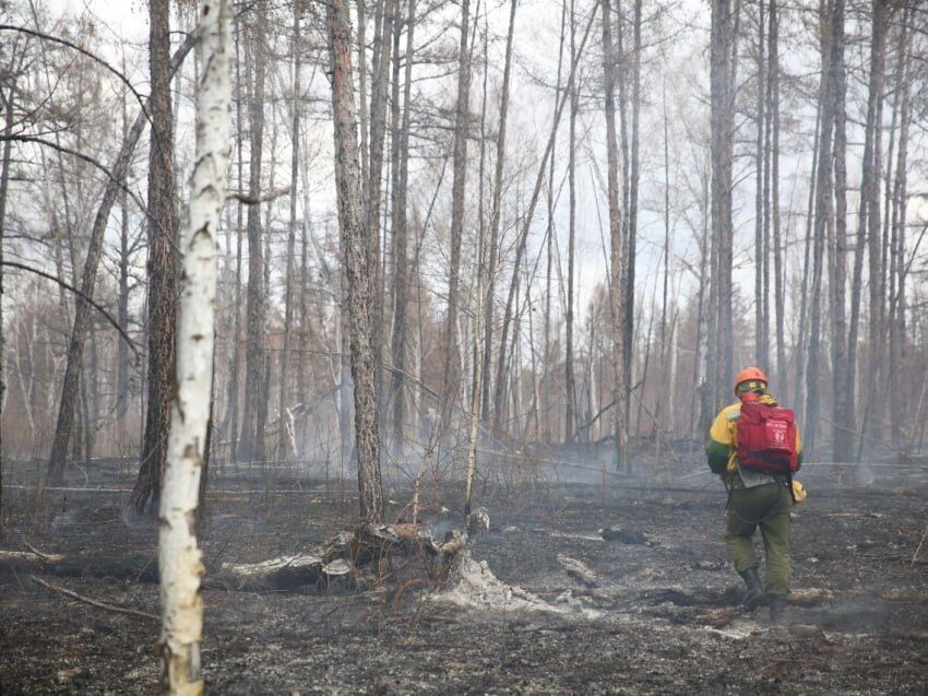    Фото: Пресс-служба правительства Забайкалья