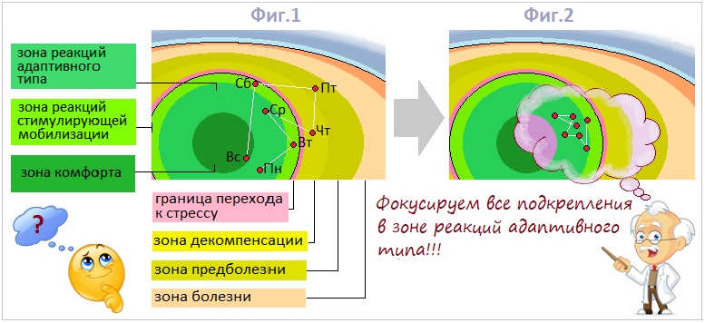 Схема 7. Вариации возможных раздражений НЭС и подкреплений ДС