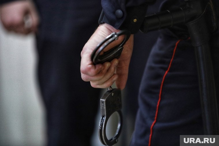    В результате оперативной работы полиции злоумышленники были задержаны