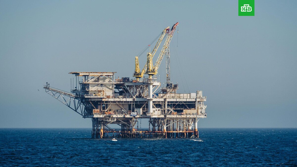    Фото: Sheng Hu / unsplash.com