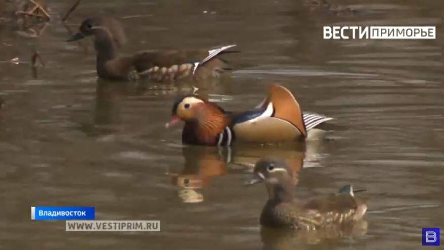    Источник фото: