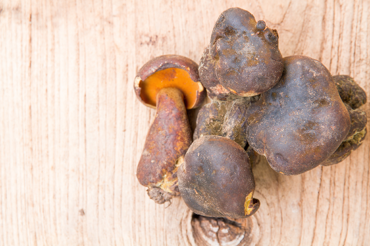 Фото ru.freepik.com
