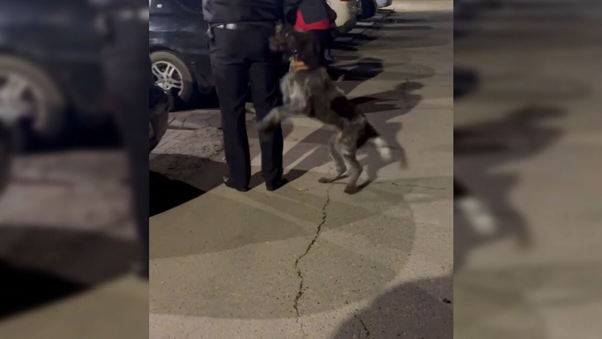    Фото: t.me/pva_anapa