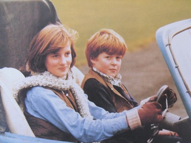 Фото взято из открытого источника