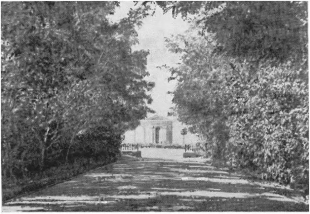 Вид с улицы Комсомольской на площадь перед стадионом и бассейном.