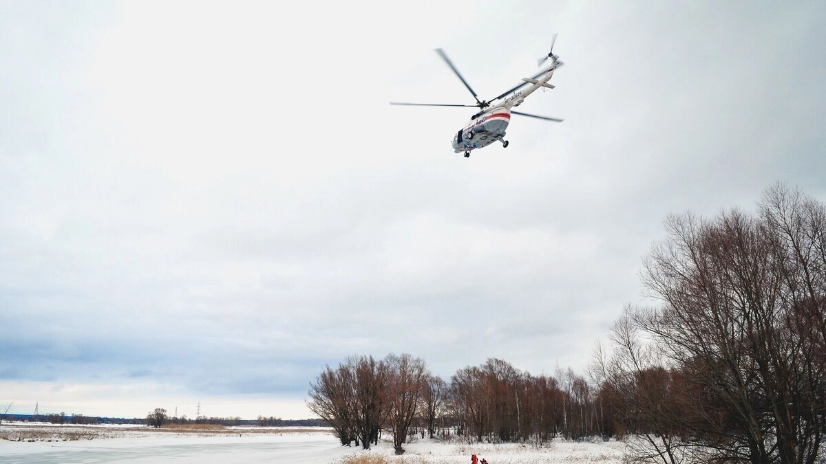     Источник: 1MI