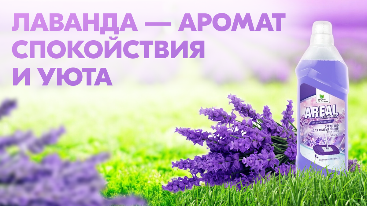 АртВБ: 158081465