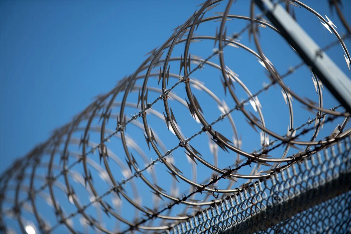    Фото: Volodymyr TVERDOKHLIB / Shutterstock.com