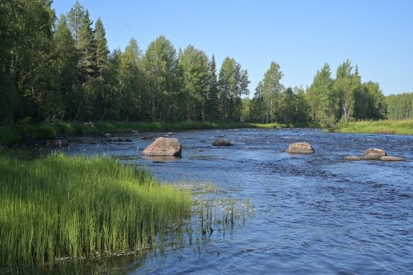 Фото: РИА Новости/ Алексей Никольский