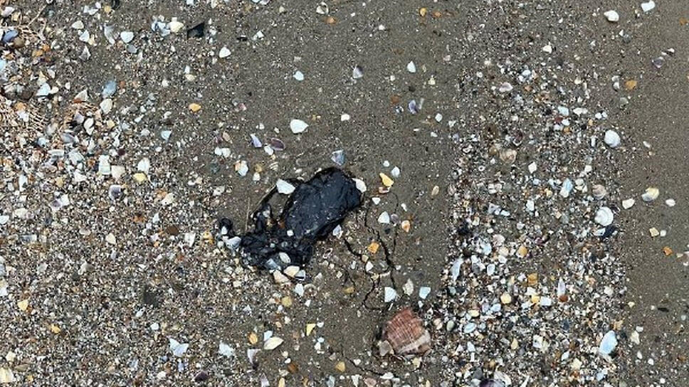 Фото: Оперативный штаб Краснодарского края