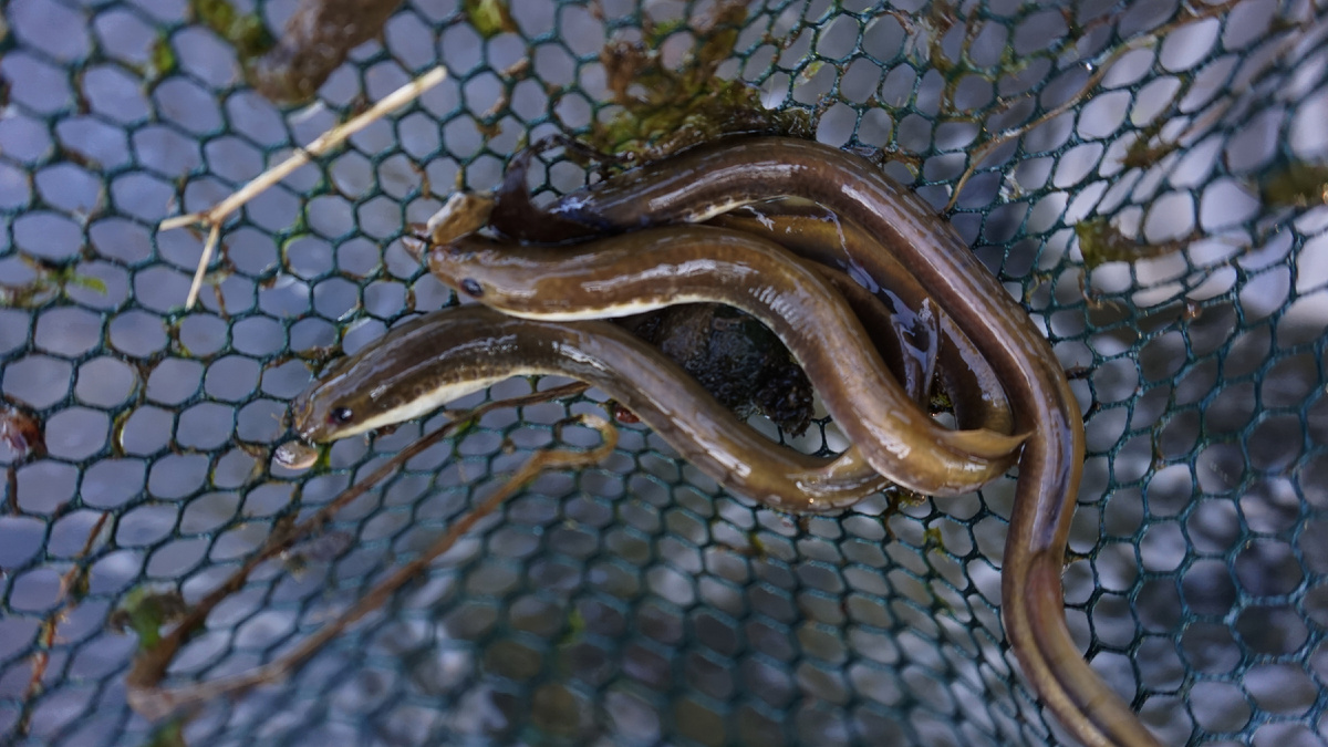 фото: Евгений Кузнецов