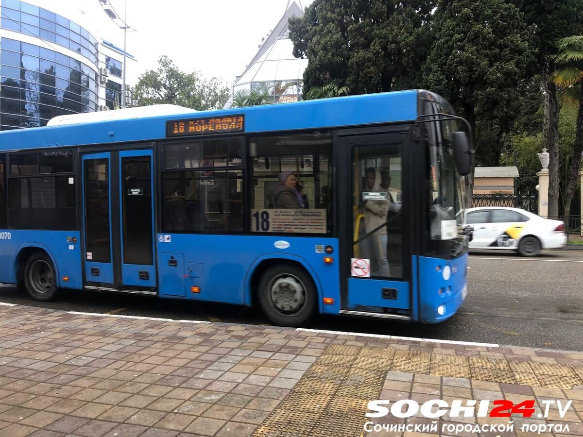 Фото: Сочи24 (Лидия Виленская)  📷
