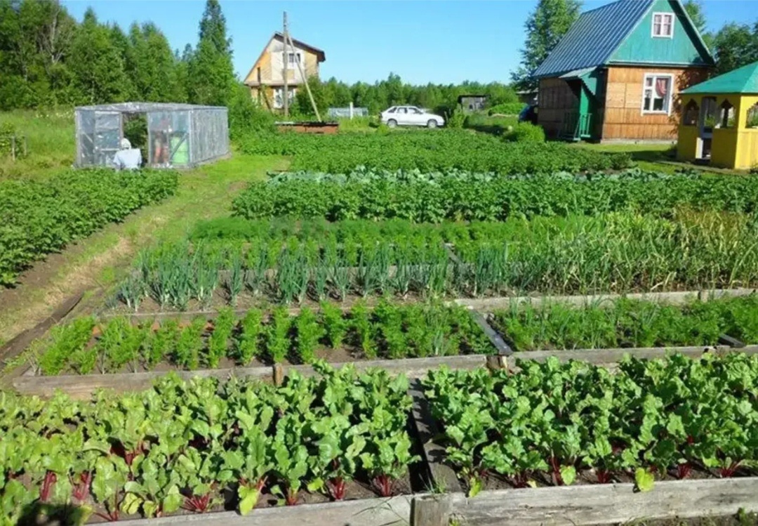 Фото взято с просторов интернета для примера. Примерно такие и делают в Карелии.