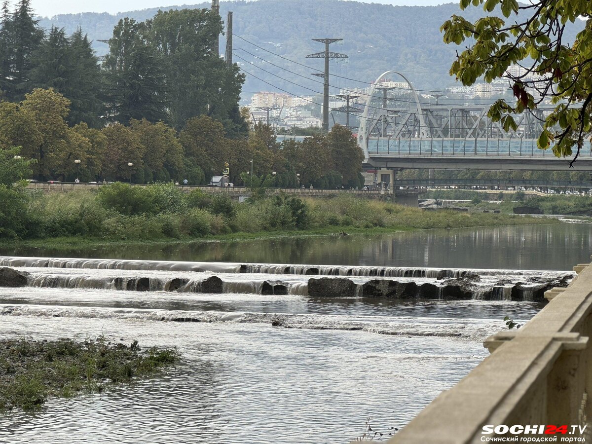 фото: Сочи 24  📷

