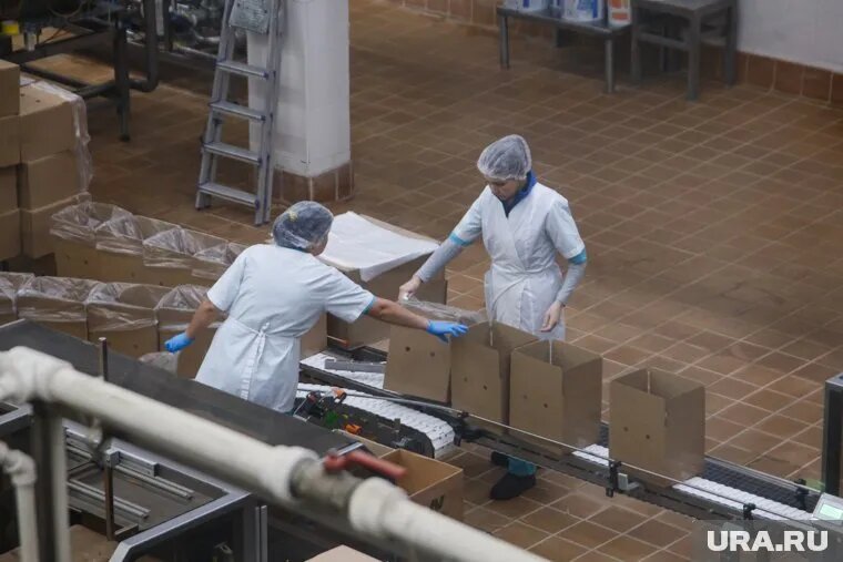 Молочный цех в ХМАО закрыли на 90 дней из-за антисанитарии. Фото: Илья Московец © URA.RU