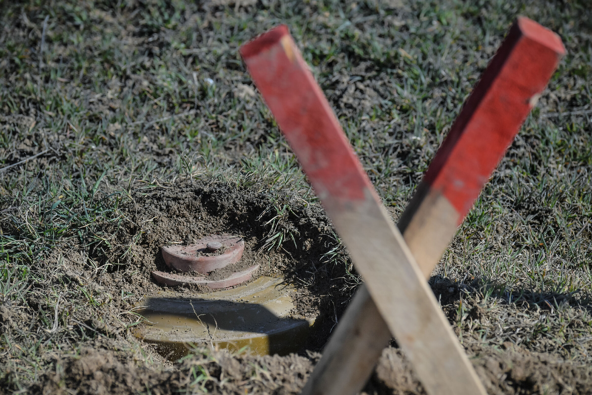 Архивное фото © Sputnik/Алексей Куденко