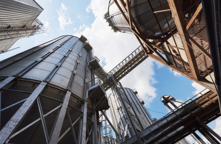    Фото: freepik.com/standret Илья Федоров