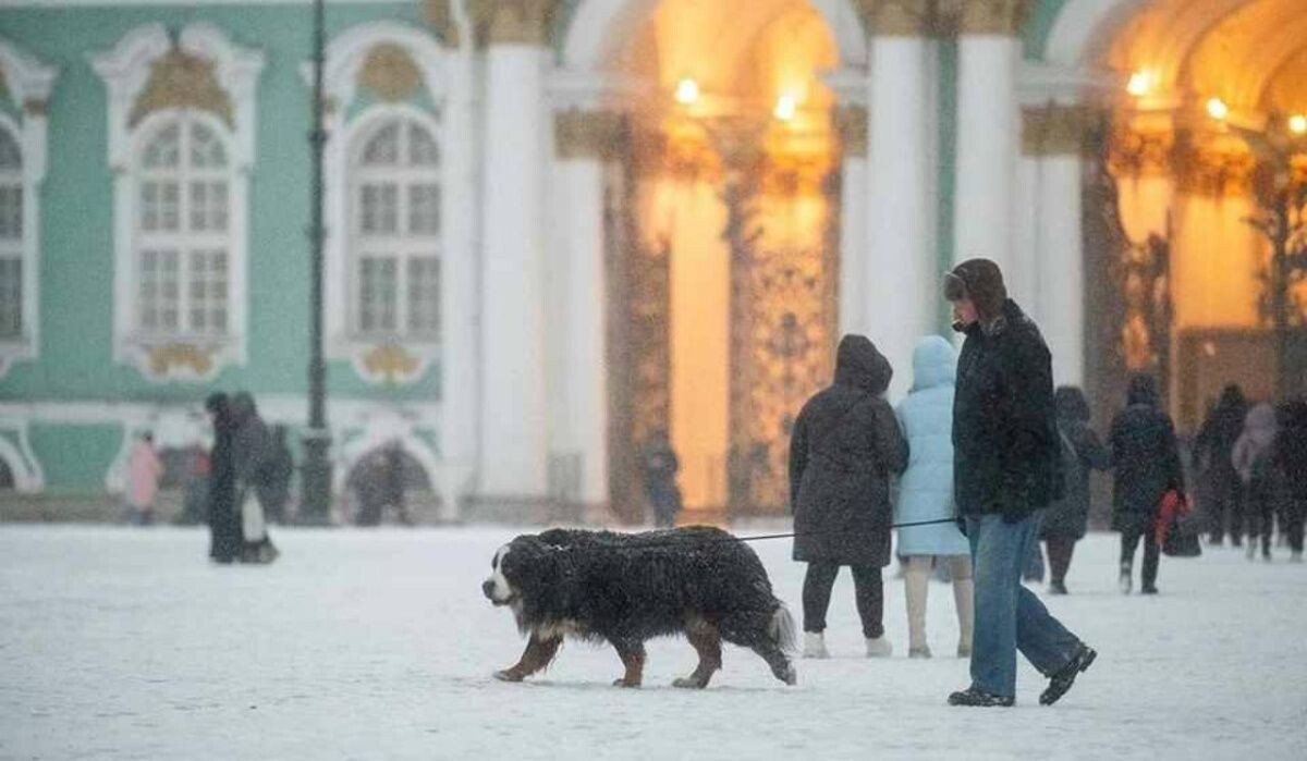     Санкт-Петербург. Источник: kp.ru Автор фото: Алексей Булатов