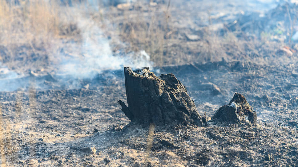 Фото: Олег Харсеев / Коммерсантъ