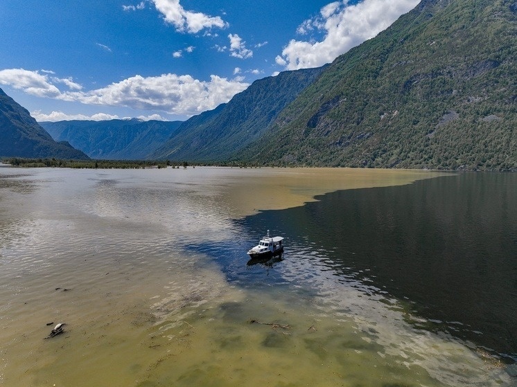    ФОТО: АЛТАЙСКИЙ БИОСФЕРНЫЙ ЗАПОВЕДНИК Ксения Евдокимова