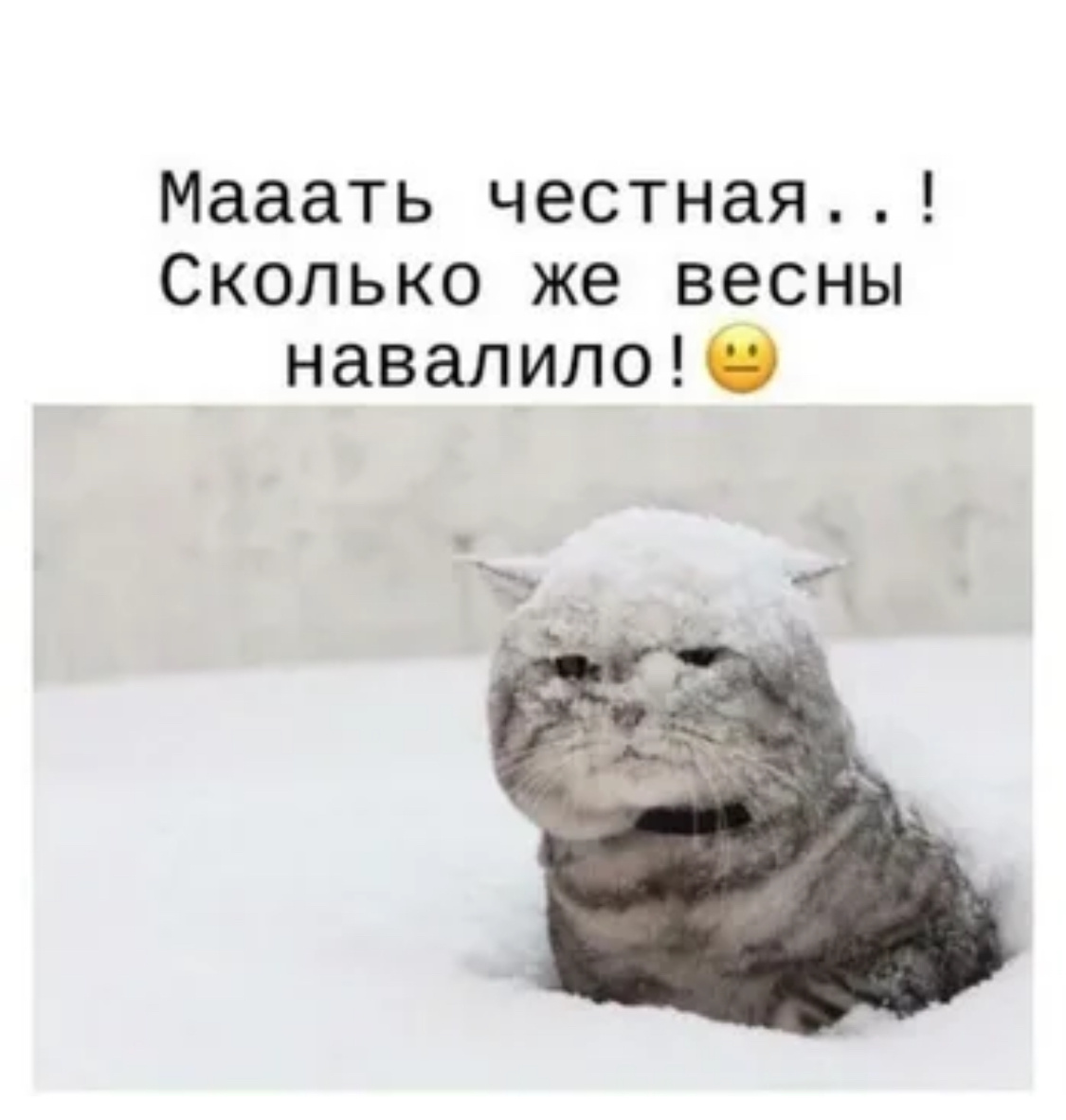 Картинку сделала сама, потому что у нас сегодня действительно идёт весь день снег