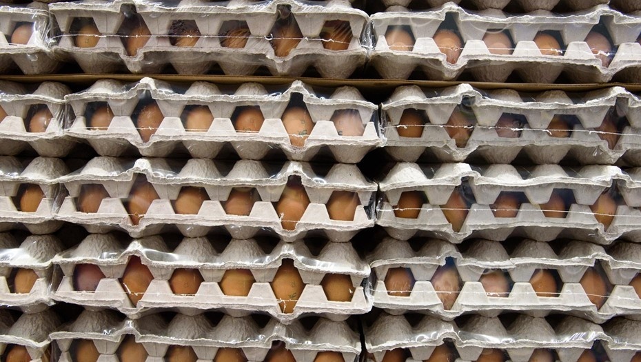    Автор фото: Ермохин Сергей