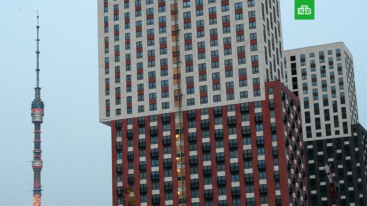    Фото: РИА Новости © 2025, Алексей Майшев