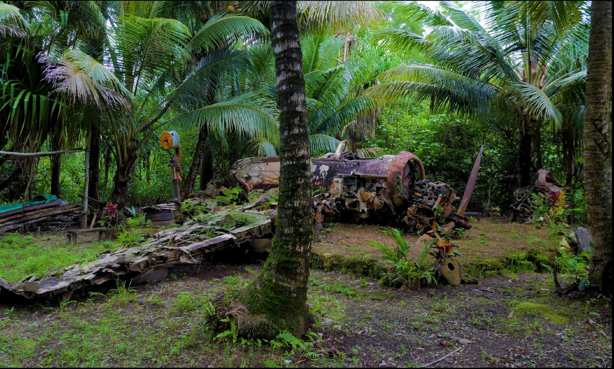 Музей под открытым небом.