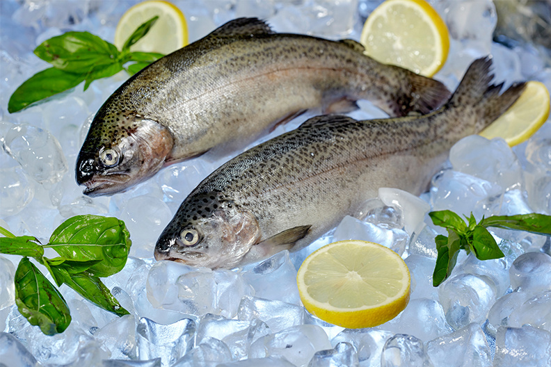 Источник фото: https://frost-fish.ru/blog/pravilnoe-khranenie-foreli-sroki-i-sposoby/