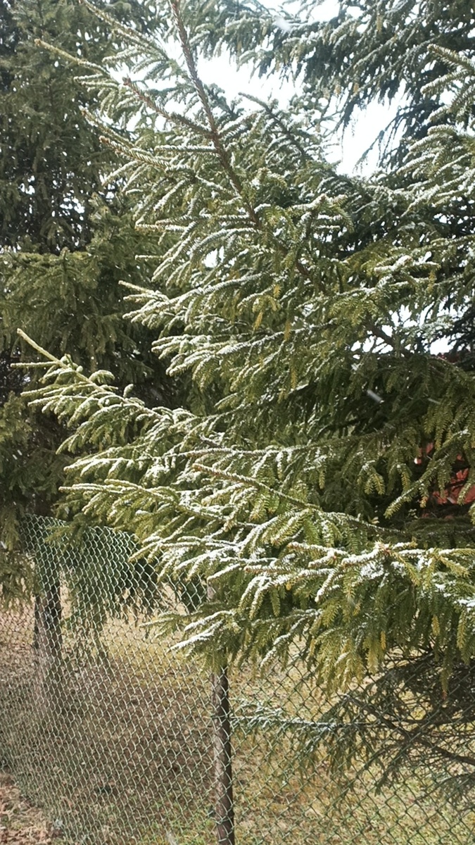 Фото автора. Прекрасное рядом. 