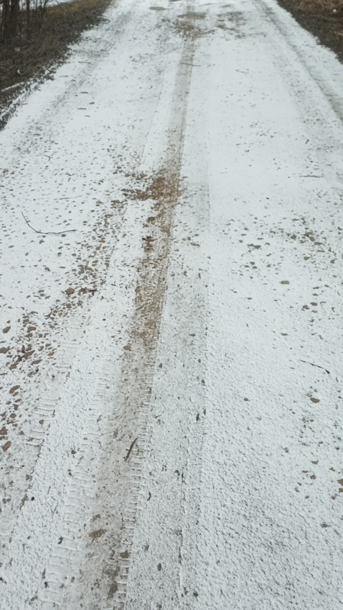 Фото автора. Снег апрельский под ногами. 