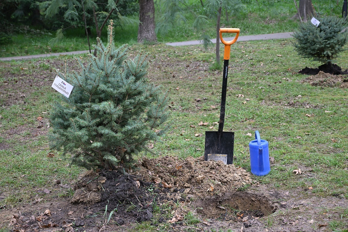 фото: sochi.ru  📷
