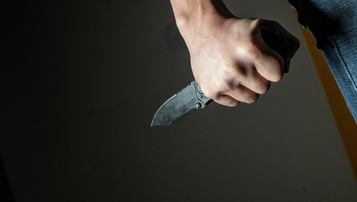 Фото Яндекс картинки.